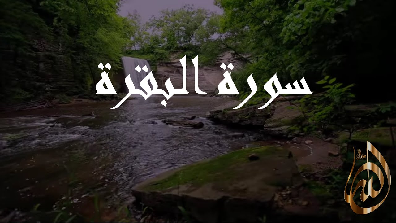 سورة البقرة الشيخ سعد الغامدي