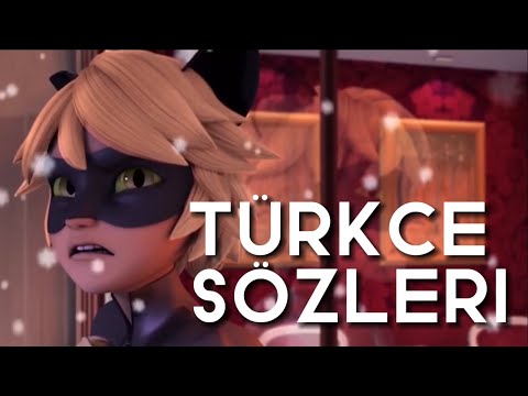 Mucize Uğur böceği ile kara kedi | Kara kedi Noel şarkısı Türkçe Sözleri