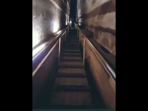 جوله داخل الهرم الاكبر  