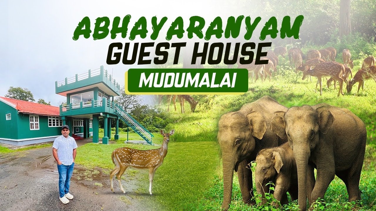 Abhayaranyam Guest House | വന്യമൃഗങ്ങളെ കണ്ട് മുദുമലൈ കാട്ടിനുള്ളിൽ താമസിക്കാം |