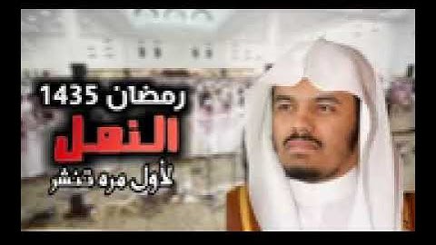الشيخ د ياسر الدوسري سورة النمل تراويح ١٤٣٥