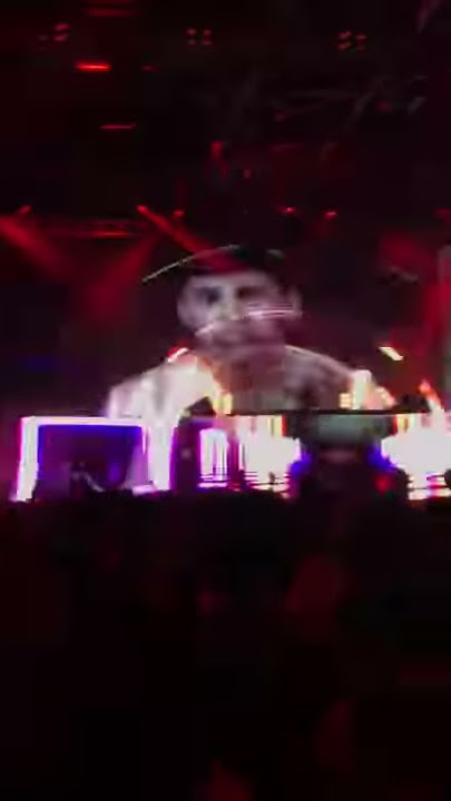 Steve Aoki in Tel-Aviv! Boxing match! 01.02.2018