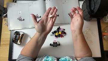 Lego Tuxedo Cat Bag 18