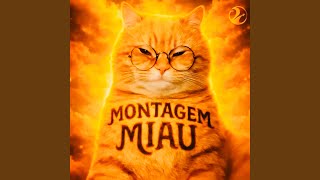 MONTAGEM MIAU MIAU