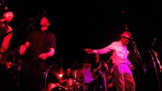 The Maytones  Born To Be Loved