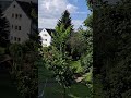 Милости Господни вспоминай, считай