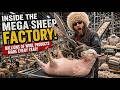 Inside the Mega Sheep Factory Where Millions of Wool Products Are Made Every Year