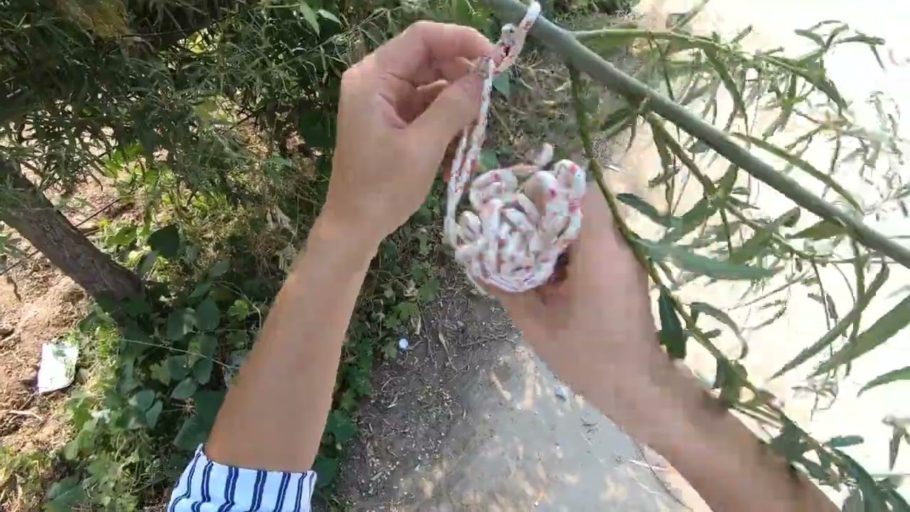 带着小金毛去青岛看大海，狗狗的东西装了满满一大箱，看还缺啥？