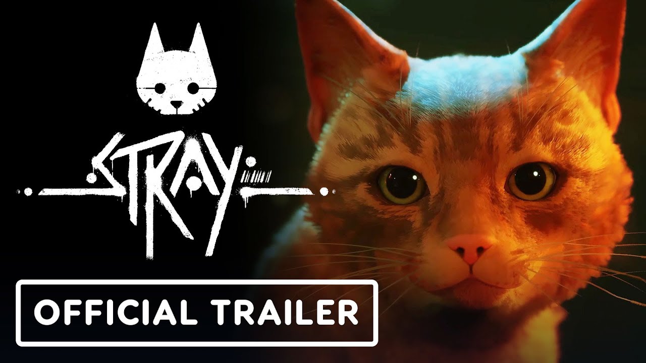 Stray traz sua aventura repleta de felinos ao Xbox em agosto - Adrenaline