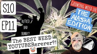 S10 EP11:  Exact amount I feed.  Week #5 of flower under spider Farmer!  Organic and ebb and flow.