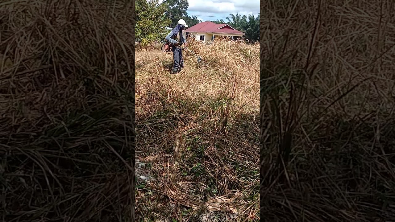 Kerja 