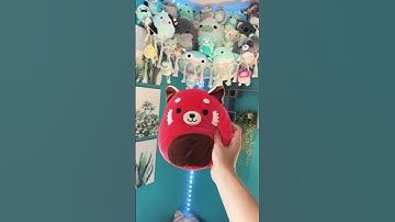 Do I have a rainbow in my collection? #squishmallows #squishmallowcheck #collection #shorts