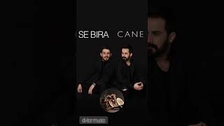 koma sê bira_cane                 #sêbira #kurdi Resimi