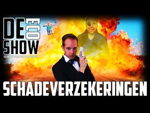 Verzekeringen: Schadeverzekeringen