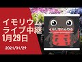 イモリウムライブ中継2021年1月29日