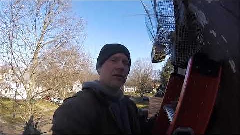 Squirrel Trap Innovation