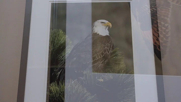 MTRP 2019 Focus on Nature Gerald Tietje