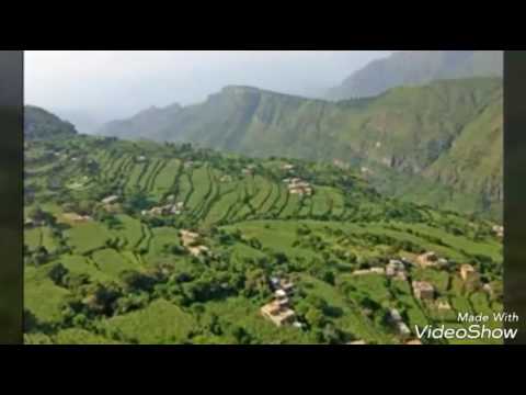 يامراوح بلادك اغنية الفنان القدير ابوبكر سالم بصوت واداء الفنانه ورده الجزائريه