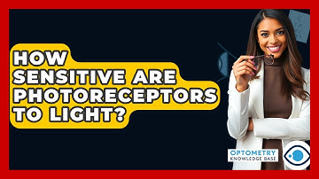 How Sensitive Are Photoreceptors To Light? - Optometry Knowledge Base