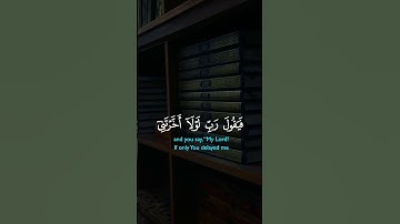 تلاوات عذبة لآيات من القرآن الكريم القارئ سعد الغامدي #تلاوة_خاشعة #القران #ترند