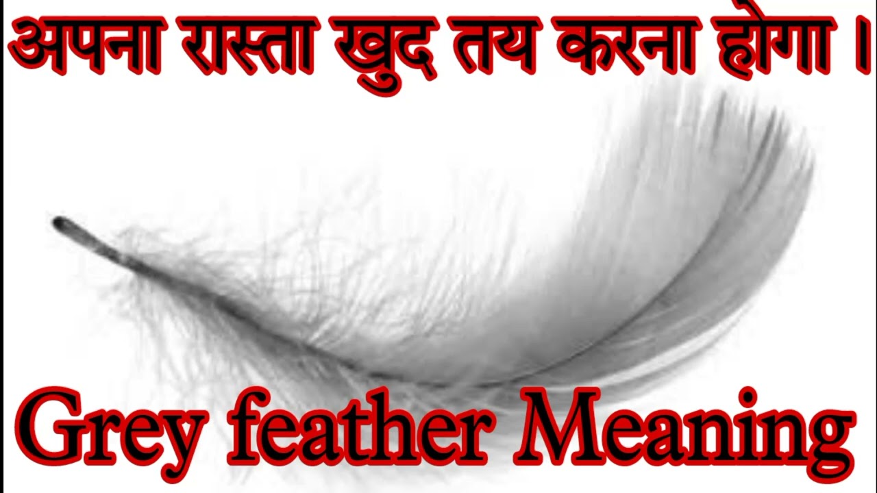 Grey Feather Meaning In Hindi अपना रास्ता खुद तय करना होगा।