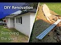 How To Remove Carpet! | My First Renovation