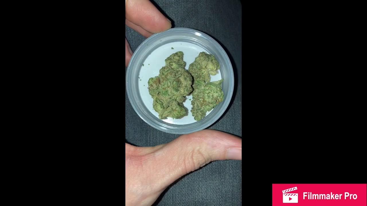 Glazed & Confused from Ozone Strain Review YouTube