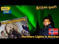     aurora northernlights  arctic winter series winter roadtrip norway