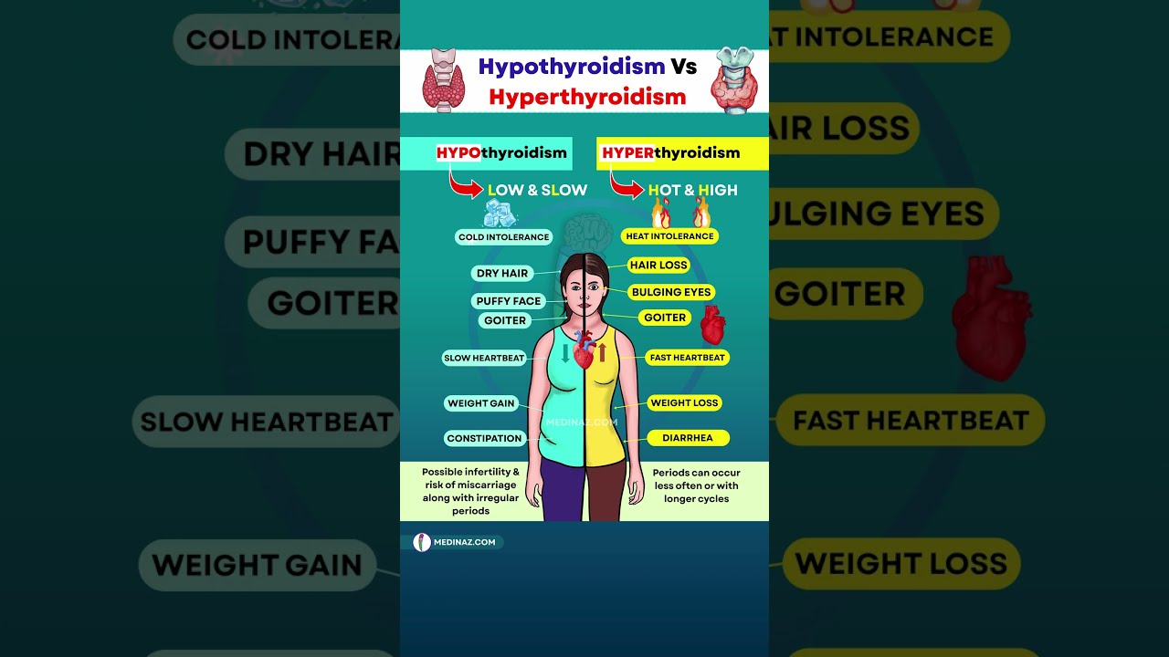 Hypothyroidism Vs Hyperthyroidism Know The Key Differences Shortsfeed