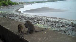 Indonesia.mp4
