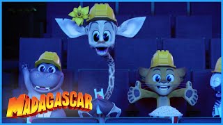 Movie Madness! | Madagascar: A Little Wild | Mini Moments