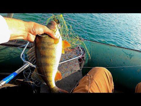 თბილისის ზღვაზე სპინინგით დიდ ქორჭილებზე 🎣 ვობლერებით თევზაობა. წყალქვეშა კადრები სატყუარის თამაში.