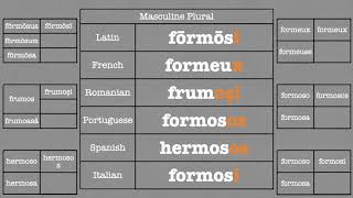 Romance Languages Adjectives