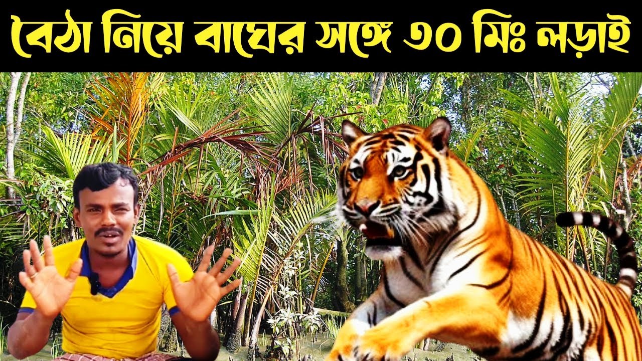 নৌকার বৈঠা দিয়ে বাঘের সঙ্গে ৩০ মিনিট লড়াই করলেন || Sundarban Tiger Attack