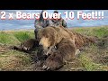 S20Ep6: Self-Guided 2 Monster Alaskan Brown Bears Over 10 Feet!!!