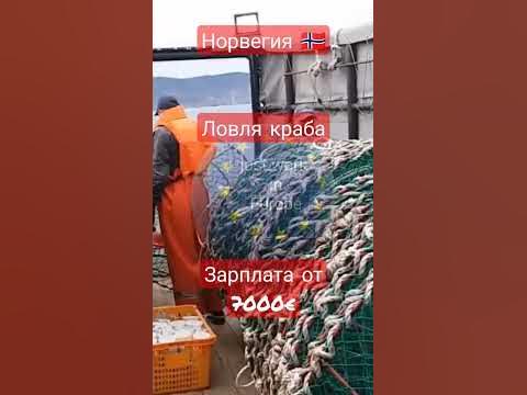 #норвегия #крабы #ловля #улов - YouTube