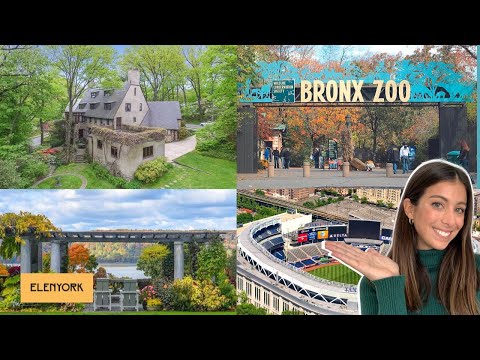 Video: 7 cosas que hacer en el Bronx (además del zoológico)