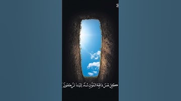 #اكسبلور #سورة_العنكبوت  راحة نفسية ❤️