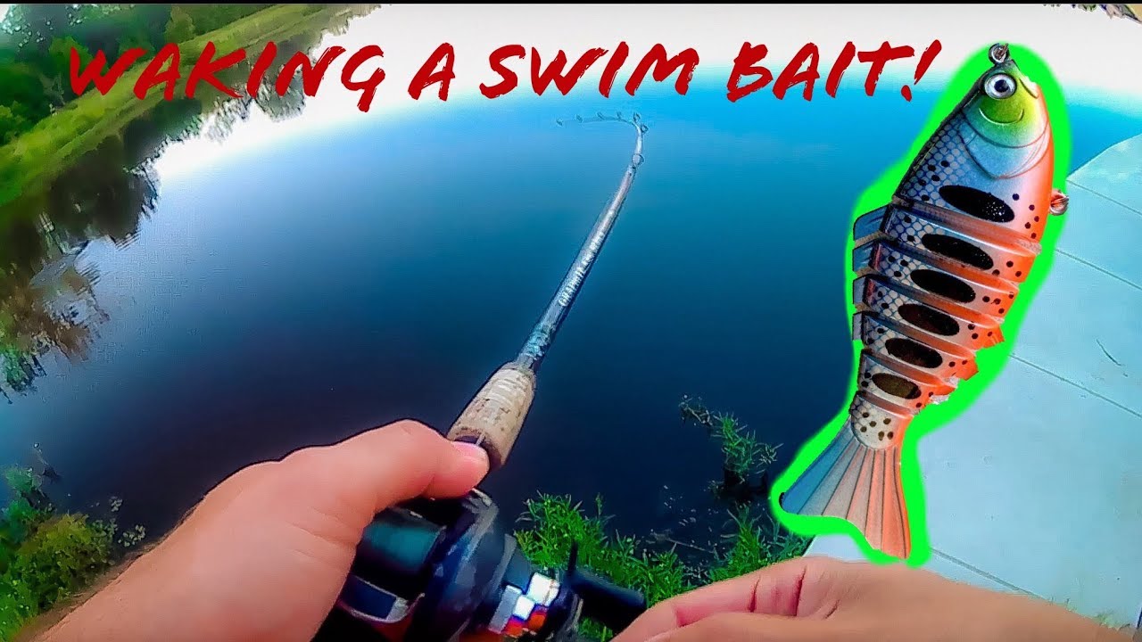 FX4 Waking a Swim Bait!  PLUSINNO Swim Bait Review.
