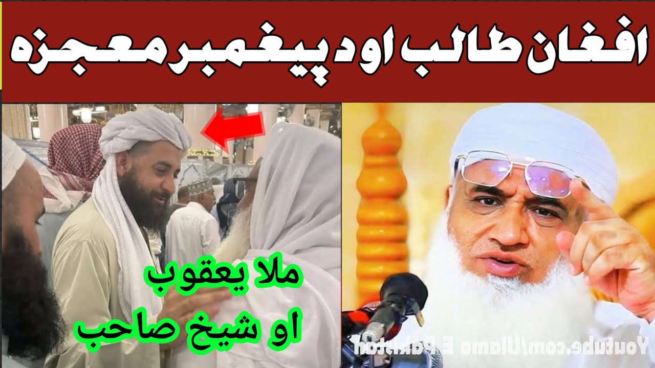 شیخ الحدیث حضرت مولانا محمد ادریس صاحب بیان د پیغمبر معجزے او باجوڑ طالب علم 