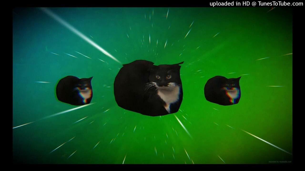 Мем с котом максвеллом Maxwell dance, but strange( blender animation ) YouTube