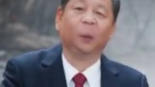 Xi Jinping Dame Da Ne (Baka Mitai)