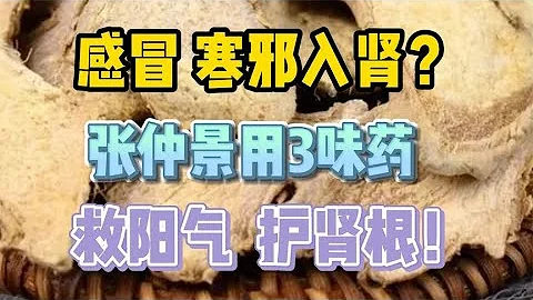 感冒，寒邪入腎？張仲景用3味葯，救陽氣，護腎根！ - 天天要聞