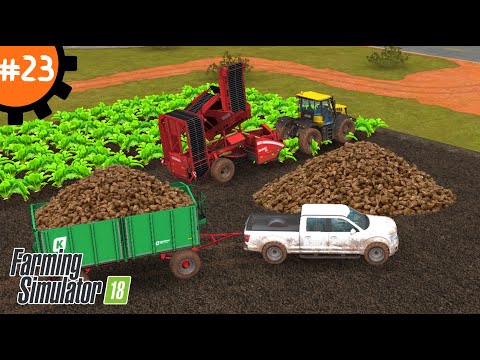 Видео: Как Вырастить Свеклу: Шаг за Шагом | Fs 18 Farming Simulator 18. #23