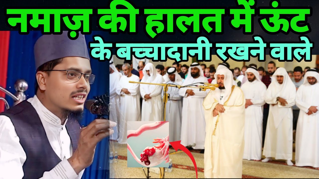Maulana Abdul Gaffar salafi ki Takrir नमाज की हालत में ऊंट के बच्चादानी रखने वाले कान खोलकर सुनो