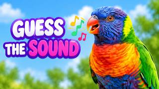 Can You Guess the Bird Sound? Fun Quiz for Kids! screenshot 5