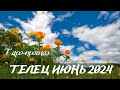 Телец ♉️ июнь 2024 🍀 месяц несет вам успех и признание