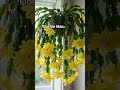 #plantas #jardim #plantasornamentais  #plantaspendentes