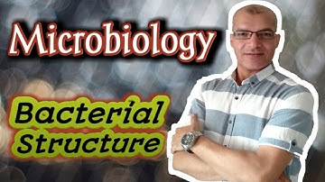 Bacterial Cell Structure