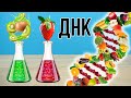 ДОСТАЛ ДНК ИЗ ФРУКТОВ! Из чего состоит банан, киви и персик?